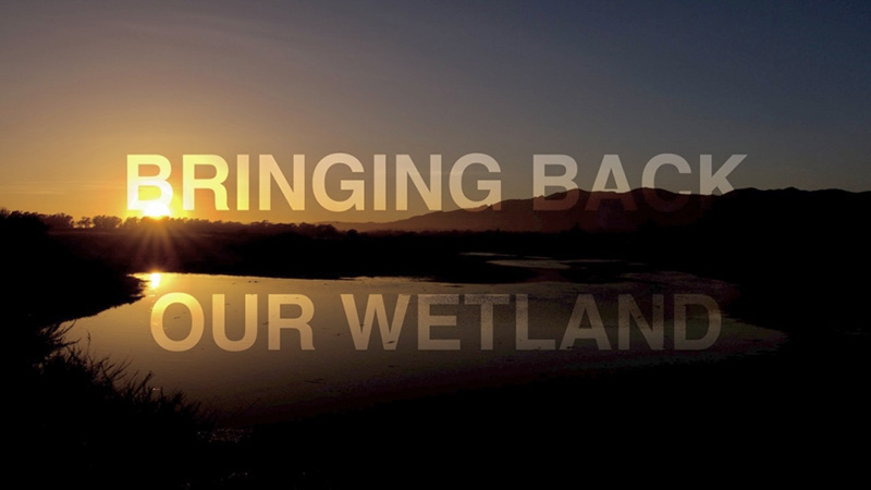 Bringing Back Our Wetlands poster.