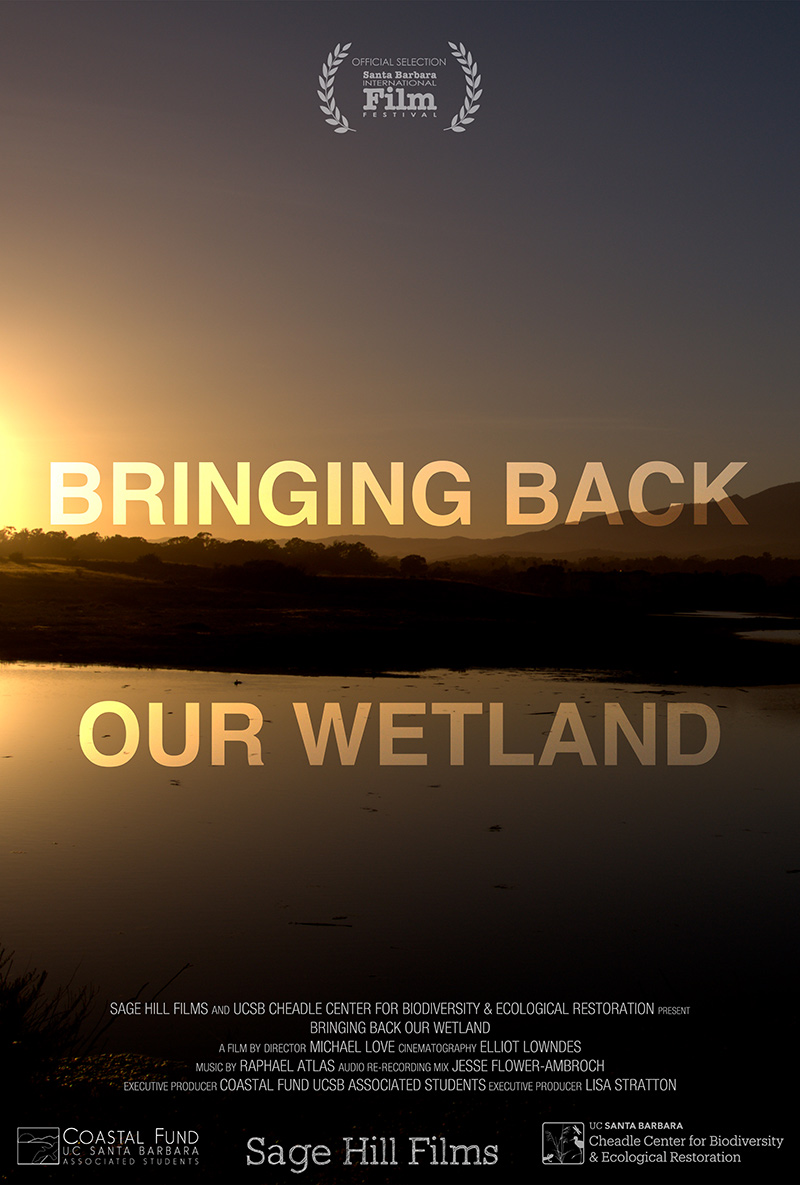 Bringing Back Our Wetlands poster.